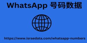 WhatsApp 号码数据